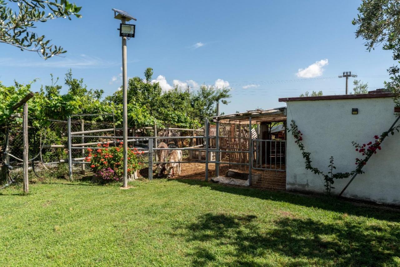 Angelo'S Country House Bernalda Buitenkant foto